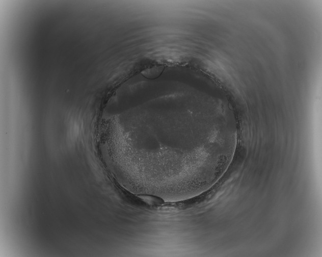 X0000089881297200707051203