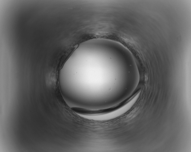 X0000089881300200707051203