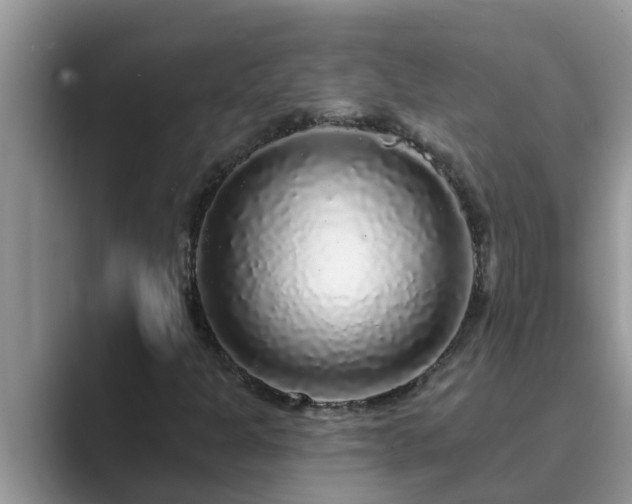 X0000089881301200707051203