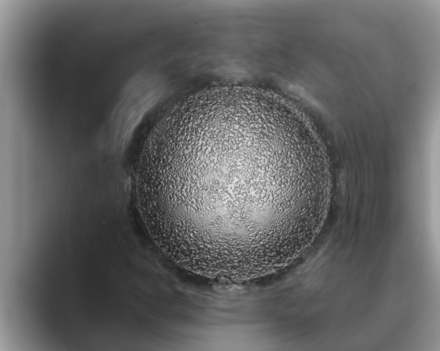 X0000089881302200707051203