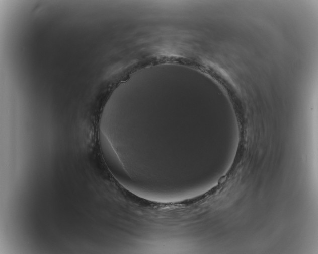 X0000089881303200707051203