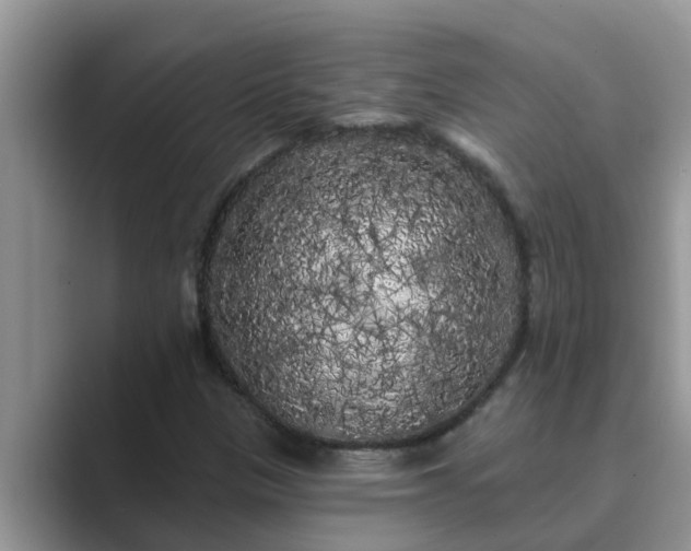 X0000089881305200707051203