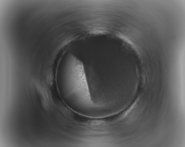 X0000089881306200707051203