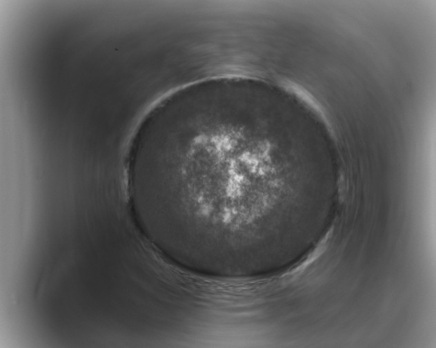 X0000089881310200707051203