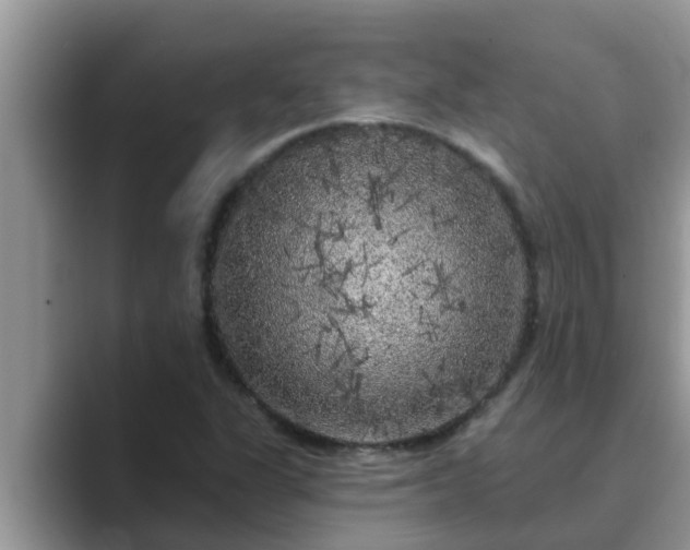 X0000089881311200707051203