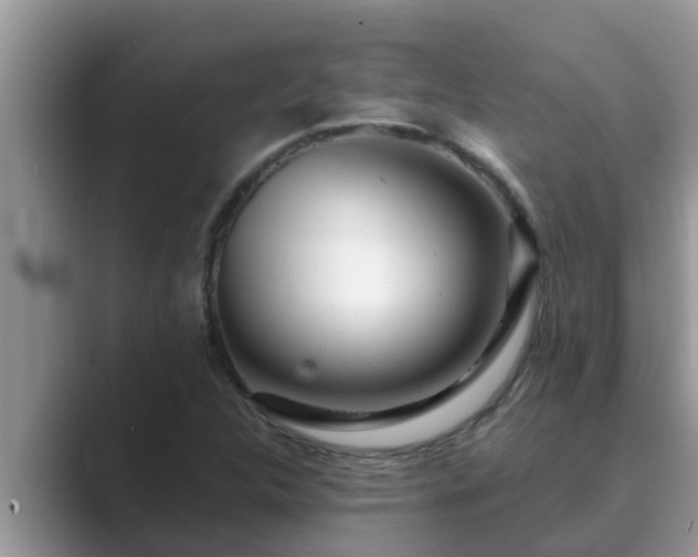 X0000089881312200707051203