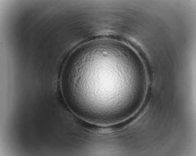 X0000089881313200707051203