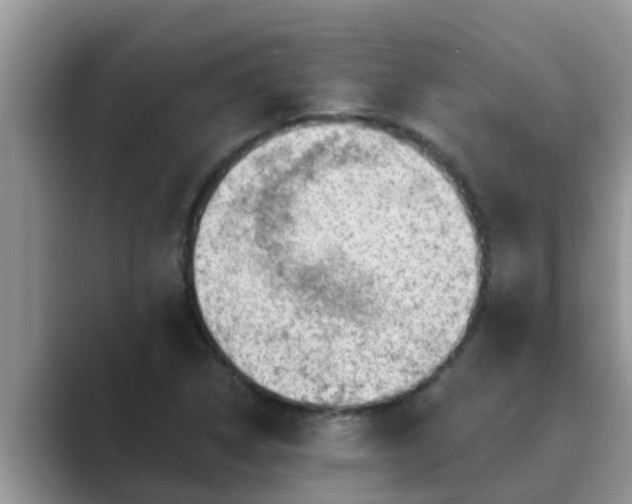 X0000089881314200707051203