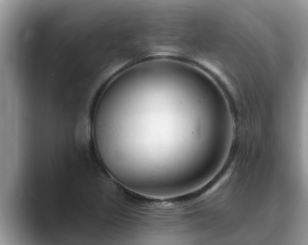 X0000089881317200707051203