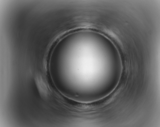 X0000089881318200707051203