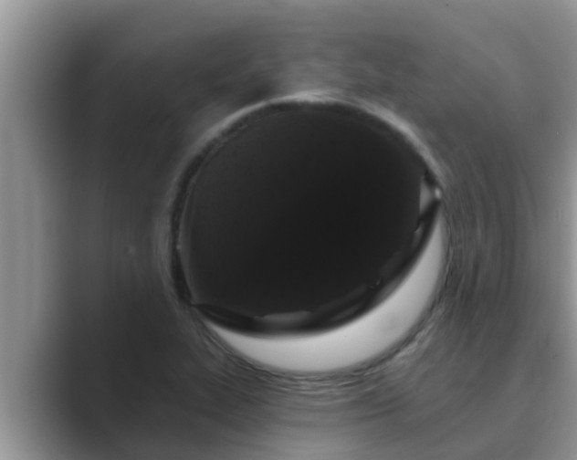 X0000089881319200707051203