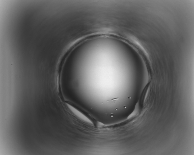 X0000089881320200707051203