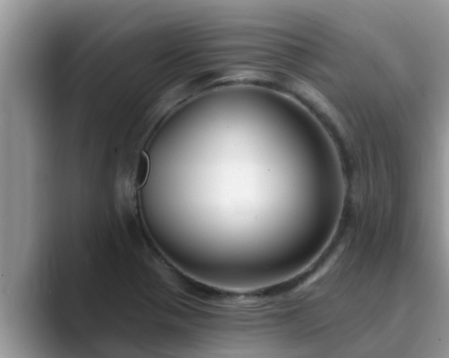 X0000089881321200707051203