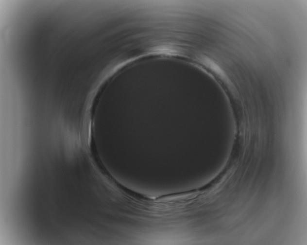 X0000089881323200707051203