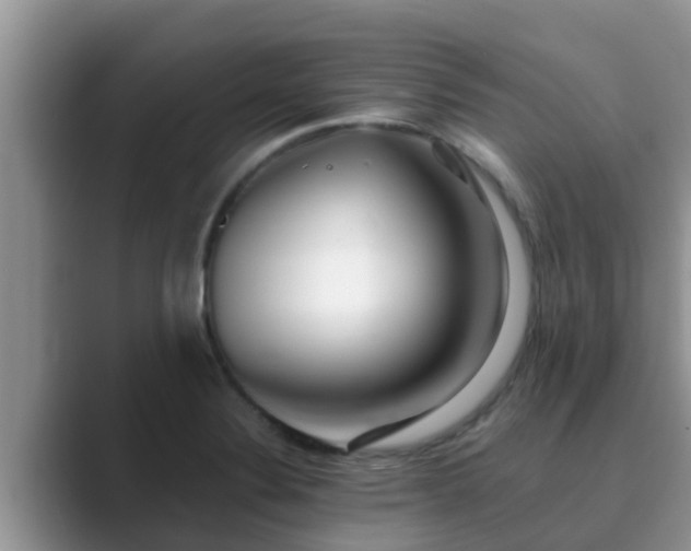 X0000089881324200707051203