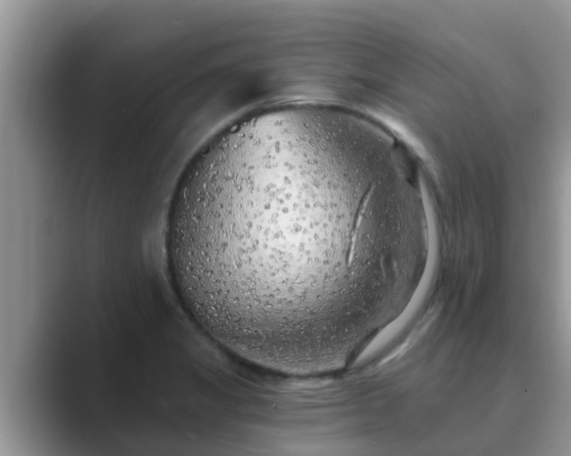 X0000089881325200707051203