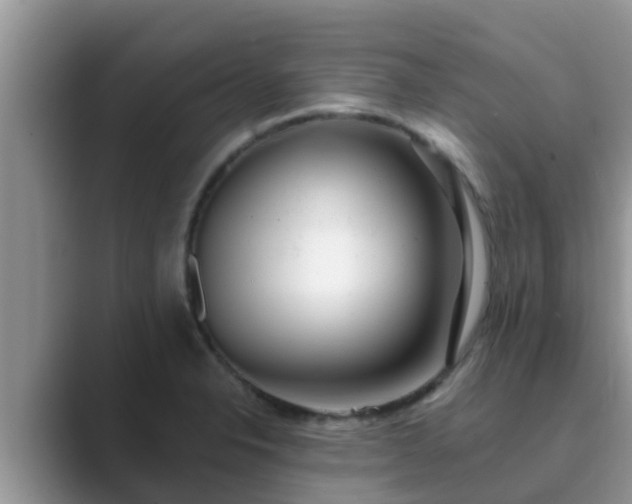 X0000089881326200707051203