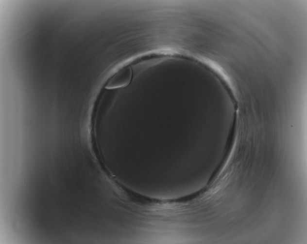 X0000089881327200707051203