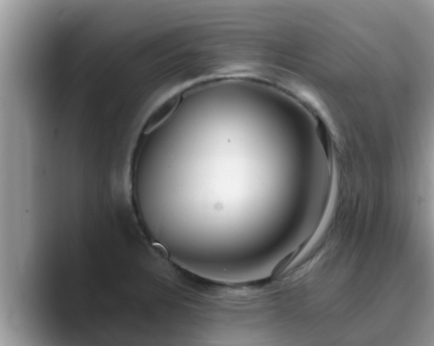 X0000089881328200707051203