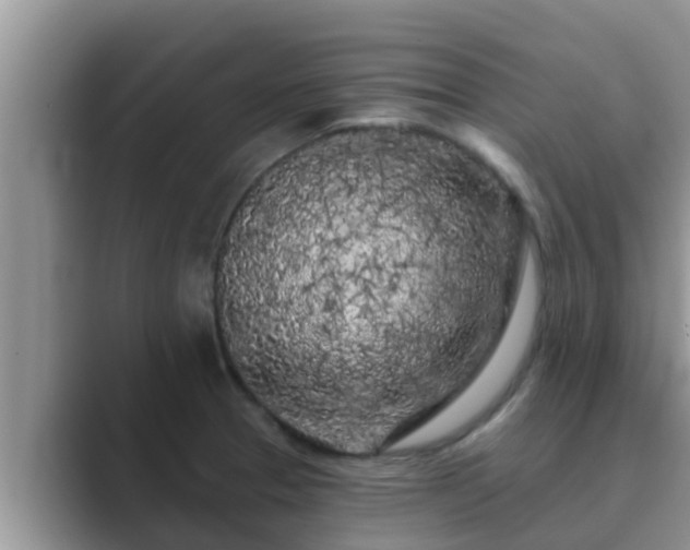 X0000089881329200707051203