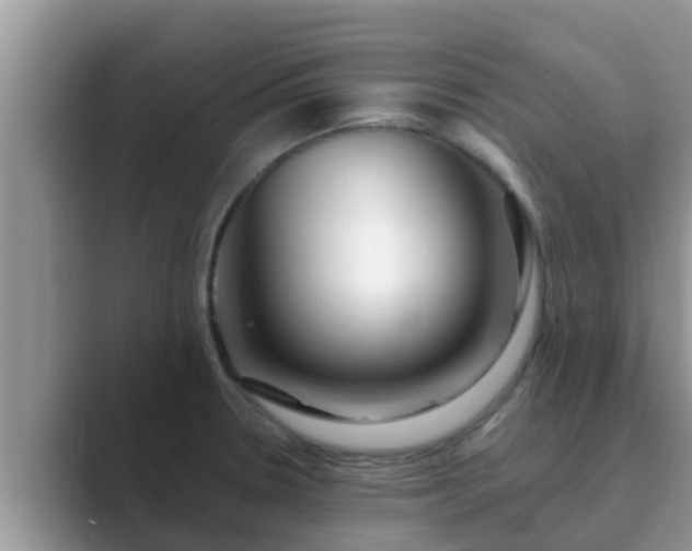 X0000089881330200707051203