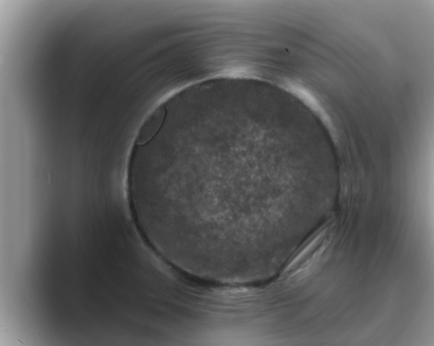 X0000089881331200707051203