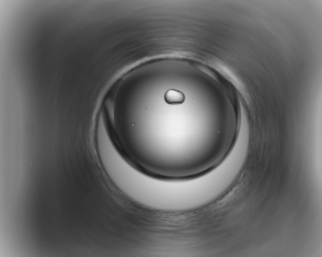 X0000089881332200707051203