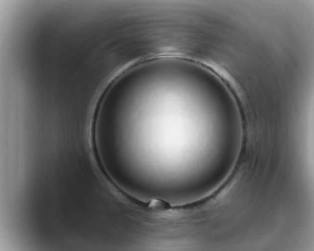 X0000089881333200707051203