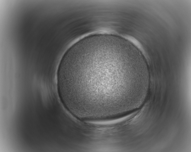 X0000089881335200707051203