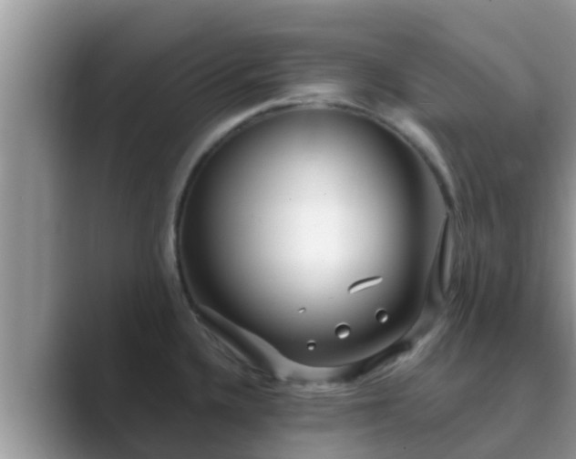 X0000089881336200707051203