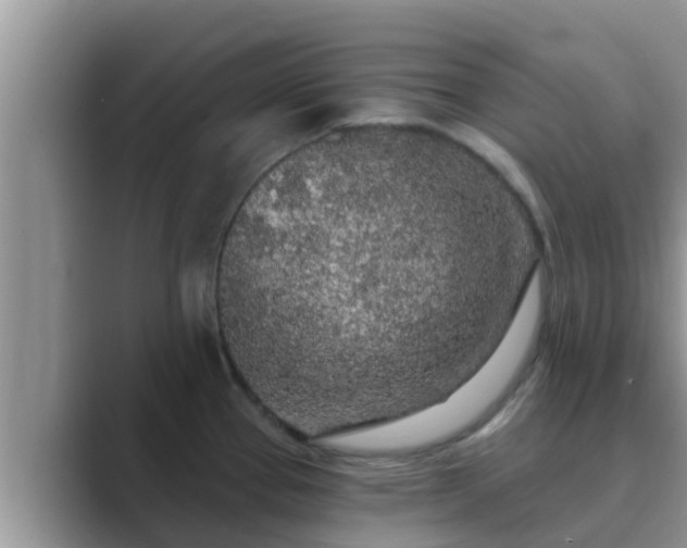 X0000089881337200707051203