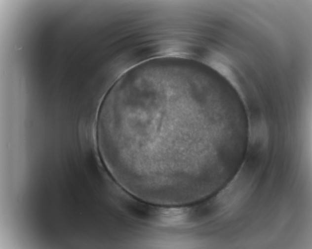 X0000089881338200707051203