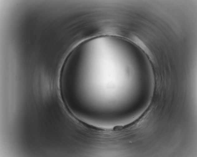 X0000089881339200707051203