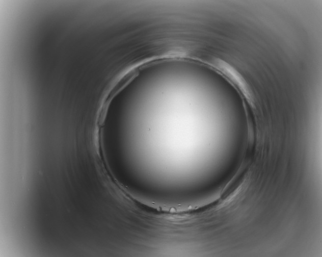 X0000089881340200707051203