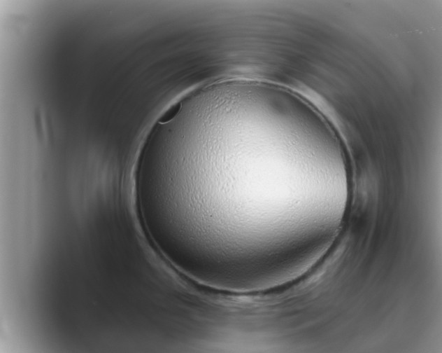 X0000089881341200707051203