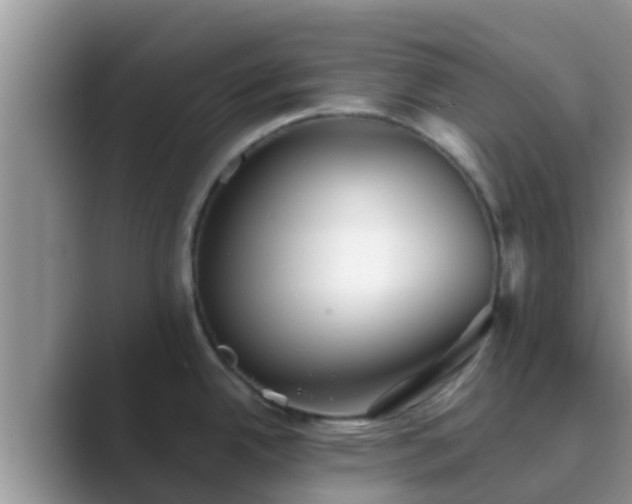 X0000089881342200707051203