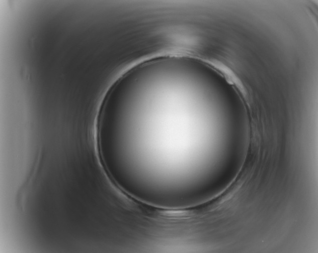 X0000089881343200707051203