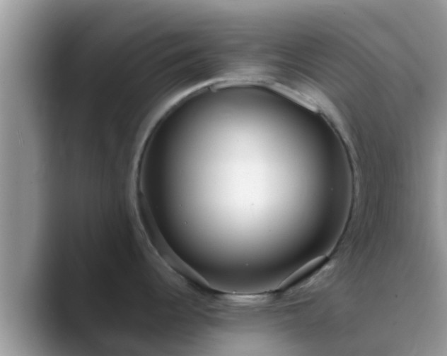 X0000089881344200707051203