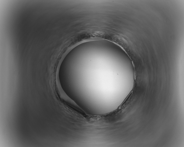 X0000089881345200707051203