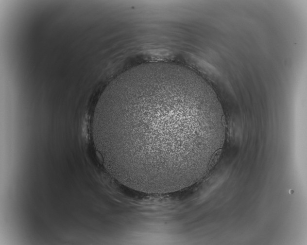 X0000089881346200707051203