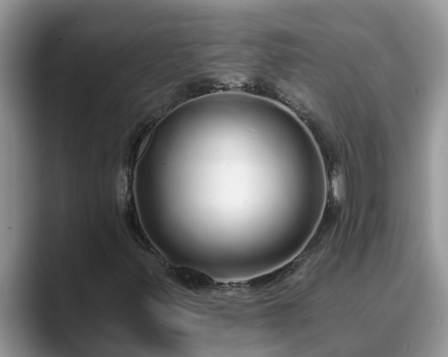 X0000089881347200707051203