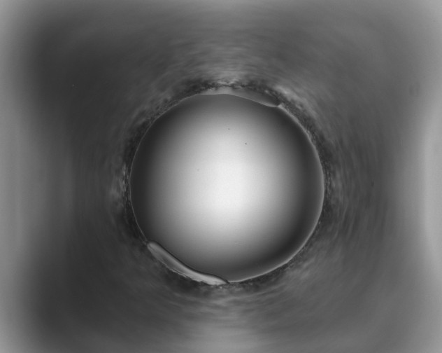 X0000089881349200707051202