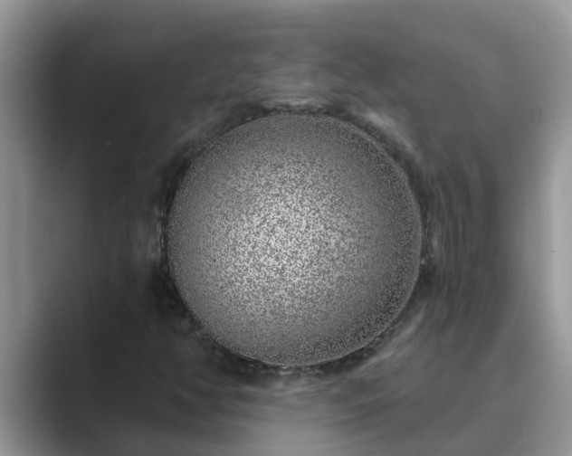 X0000089881350200707051202