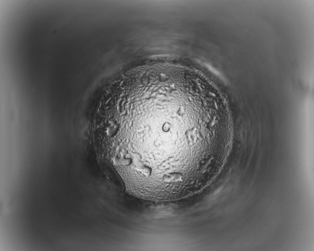 X0000089881351200707051202