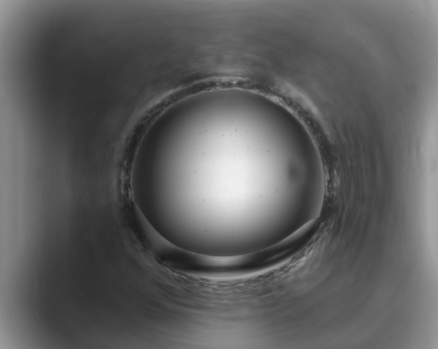 X0000089881352200707051202