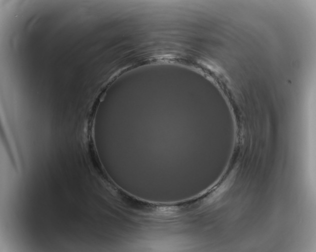 X0000089881353200707051202