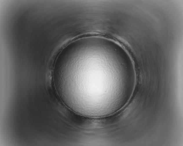 X0000089881355200707051202