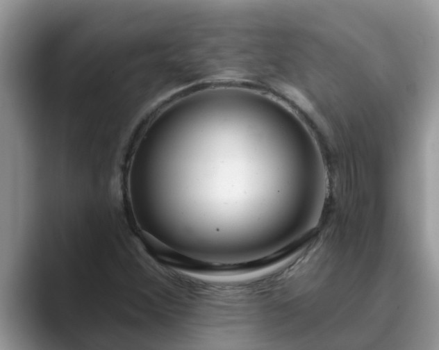 X0000089881356200707051202