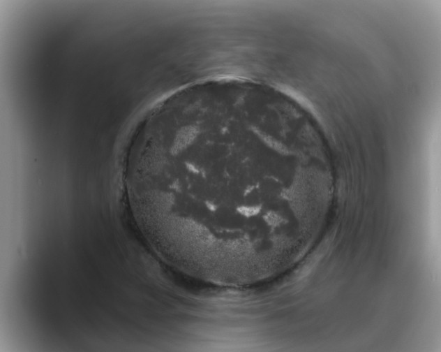 X0000089881359200707051202