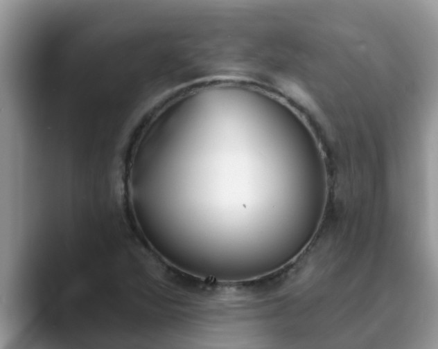 X0000089881360200707051202